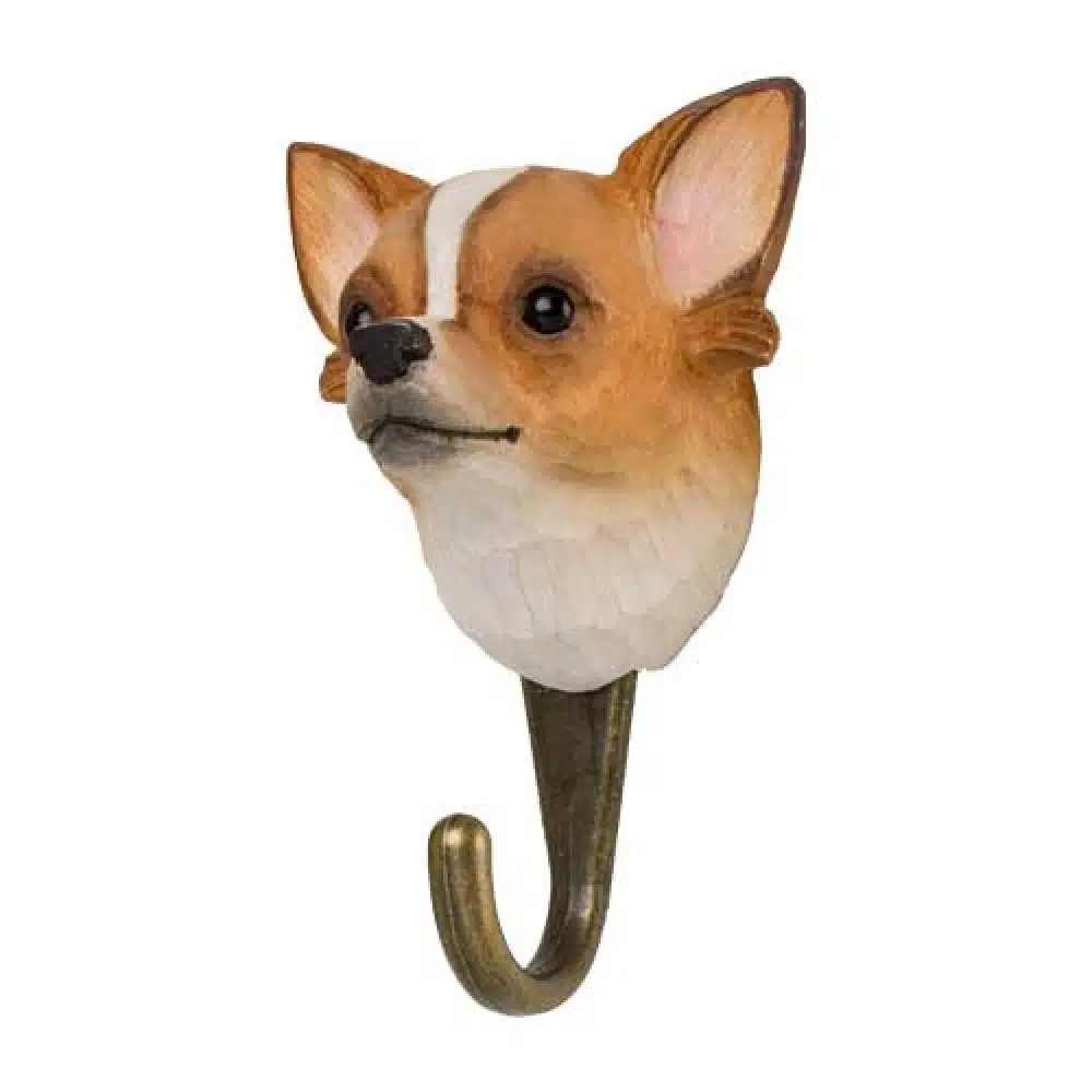 Knagg – chihuahua